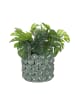 Butlers Blumentopf GAIA in Grün