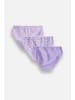 Coccodrillo Mädchenunterhosen in violett