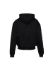 DNGRS Dangerous Hoodie "Dangerous Dngrs Decent Zip Hoody" in Schwarz