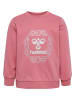 Hummel Sweatshirt Hmllime Jungen in !DUSTY ROSE