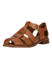 Clarks Sandalen Hana in 5241 Tan Leather