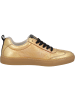 palado Sneakers Low in gold/black