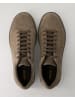 Geox Klassische Schnürschuhe in Grau