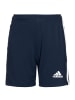 adidas Performance Trainingsshorts Squadra 21 in blau / weiß