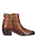 Igi&Co Stiefelette in Cognac