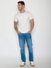 GreenBomb Spice Basic in Moonstone