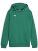 Puma Hoodie "TeamGoal CasuaLongsleeve Hoody Jr" in Grün