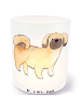 Mr. & Mrs. Panda Glas Teelichthalter Pekingese Moment ohne Spruch in Transparent