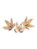 MeinVIPShop 3er Set getrocknete Wildlilien in natur