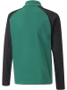 Puma Pullover "TeamLIGA 1/4 Zip Top Jr" in Grün