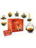 Creano Tee 7tlg. Set: 6 Teeblumen "ErblühTee Weißer Tee" + 1 Teekanne 500ml