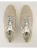 Sioux Sneaker low in Grau