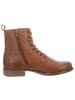 PX Shoes Stiefelette in braun