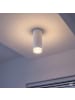 Licht-Erlebnisse Deckenlampe Ø 6 x (H)16.5 cm in Weiß