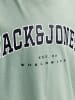 JACK & JONES Junior T-Shirt  JJECALEB VARSITY TEE SS O-NECK in iceberg green