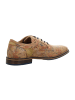 Bullboxer Elegante Schnürschuhe in Beige
