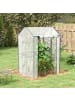 Outsunny Gewächshaus in Weiß & Dunkelgrün 100L x 80B x 150H cm