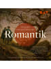 Der Audio Verlag CD - Die große Hörspiel-Edition der Romantik