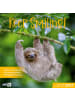 Ackermann Kunstverlag Kalender - Keep Smiling Kalender 2027 - 30x30 - Art12