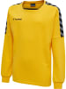 Hummel Hummel Sweatshirt Hmlauthentic Multisport Kinder in SPORTS YELLOW