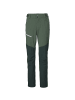 Helly Hansen W BLAZE SOFTSHELL PANT