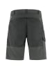 FJÄLLRÄVEN Bermuda Abisko Shorts M in Grau