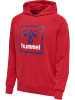 Hummel Hummel Kapuzenpullover Hmlisam Herren in BARBADOS CHERRY