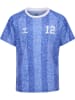 Hummel T-Shirt Hmlshimmer Kinder in DAZZLING BLUE/BRIGHT WHITE