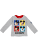 Disney Langarmshirt Minnie Mouse in grau