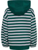 Hummel Kapuzenpullover Hmljr Conelly Lebensstil Kinder in FOREST BIOME