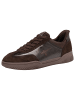 Tamaris Sneaker in MOCCA PATEN