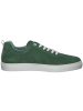 palado Sneakers Low in encina white