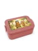 Mr. & Mrs. Panda Bento Box Bär Kind Pommes Design ohne Spruch in Rot Pastell