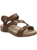 Josef Seibel Sandale Tonga 25 in beige