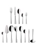 Villeroy & Boch 68er Set Tafelbesteck Victor silber in silber