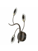 Licht-Erlebnisse Wandlampe EEK F (B)24 x (H)51 cm in Rostbraun Gold