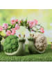MARELIDA Dekofigur Schnecke Blumenkohl Gartendeko für Beet Garten H: 11cm in grün