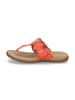Gabor Fashion Pantolette in Orange