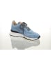 Floris van Bommel Sneaker in blau