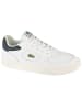 Lacoste Lacoste Lineset 223 in Weiß