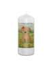 Mr. & Mrs. Panda Kerze Mit Spruch Hund Dame Design ohne Spruch in Weiß