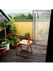 relaxdays Tomatengewächshaus in Transparent/ Schwarz - (B)100 x (H)150 x (T)50 cm