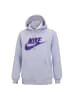 Nike Kapuzenpullover Club Fleece Hoodie in Flieder