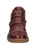 Josef Seibel Stiefelette Neele 63 in bordeaux