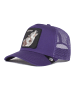 Goorin Bros. Cap in The Lone Wolf purple