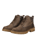 ara Stiefelette in Marrone