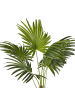 Beliani Kunstpflanze FAN PALM in Grün/Schwarz - (W) 35 x (H) 100 x (L) 30 cm
