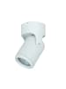 Licht-Erlebnisse Spot Strahler (B)7.6 x (L)7.6 x (H)12.8 cm in Weiß