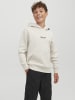 JACK & JONES Junior Kapuzenpullover in Moonbeam