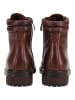 B.Z. MODA by EVERYBODY Stiefelette CLEO in Braun